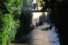 Hôtel des Alpes - photo 15