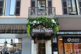 Hôtel des Alpes - photo 27