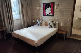 Hôtel des Alpes - photo 19