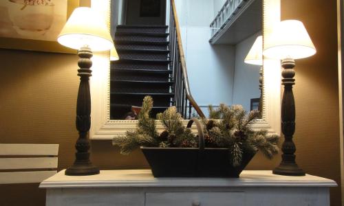 Hôtel des Alpes - photo 2