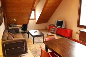 Les Z'hirondelles - photo 27