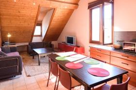 Les Z'hirondelles - photo 6