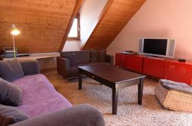 Les Z'hirondelles - photo 7
