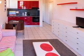 Les Z'hirondelles - photo 8