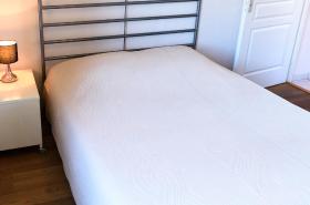 Les Z'hirondelles - photo 11