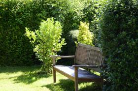 Hotel Les Terrasses - photo 14