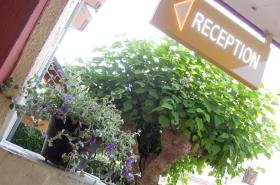 Hôtel Catalpa - photo 15