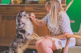 greet hôtel Annecy Cran-Gevrier by Accor - photo 23