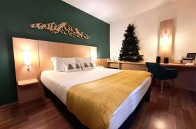 ibis Annecy Centre Vieille Ville - photo 15