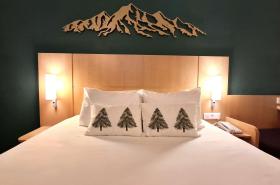 ibis Annecy Centre Vieille Ville - photo 8