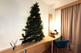 ibis Annecy Centre Vieille Ville - photo 15