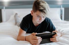 ibis Annecy Centre Vieille Ville - photo 26